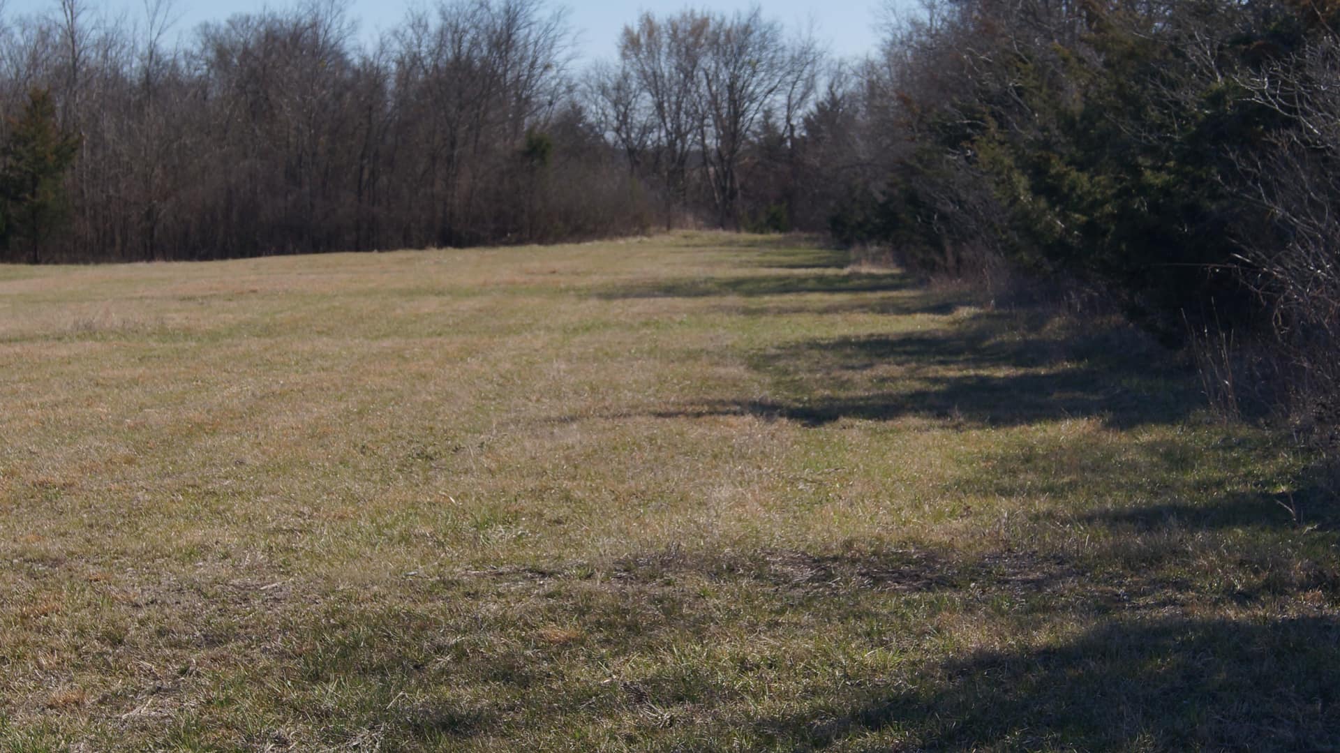 80.73 acre ranch in Lamar County, Texas