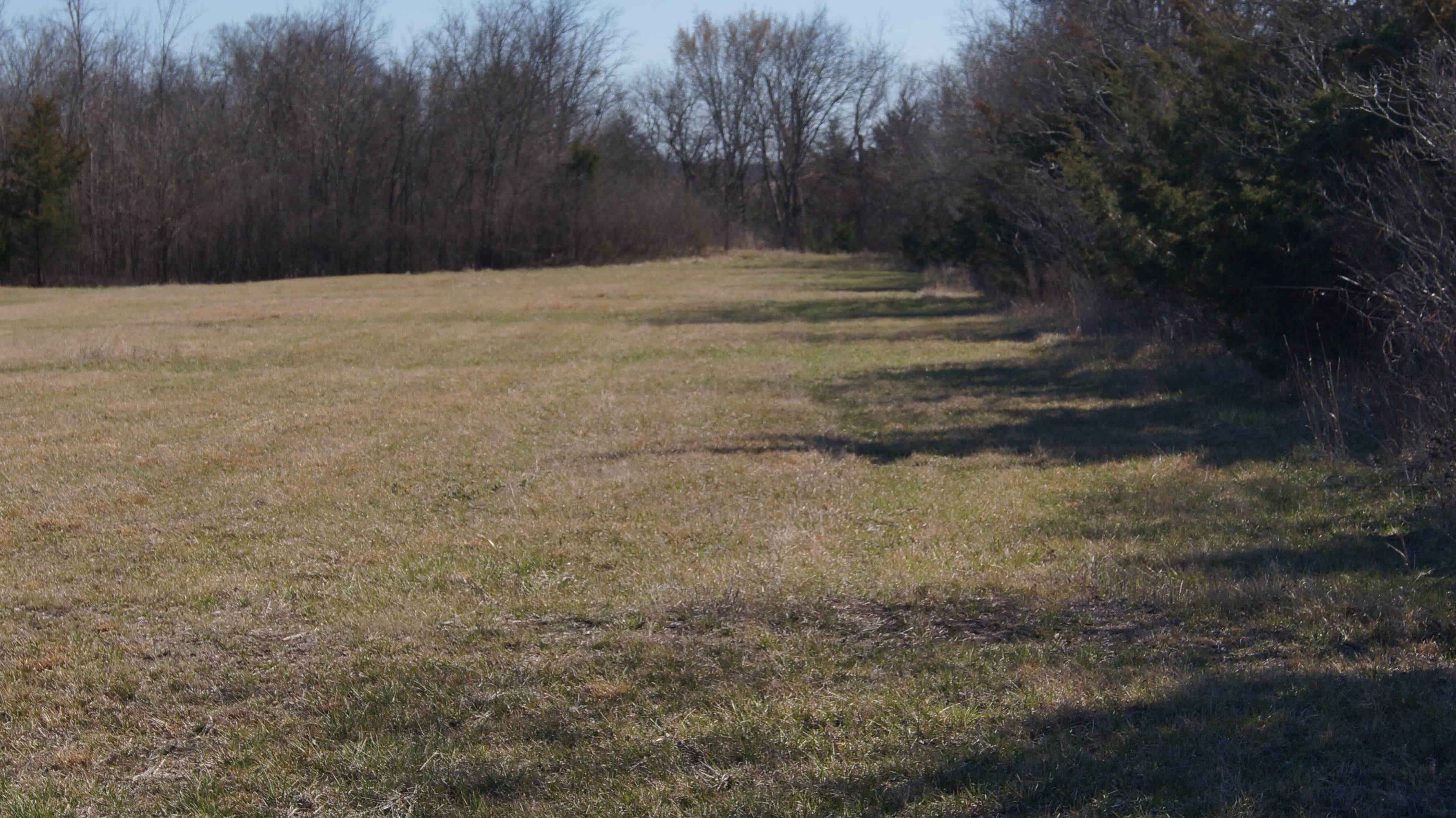 Overview of 80.73 acre ranch in Lamar County, Texas