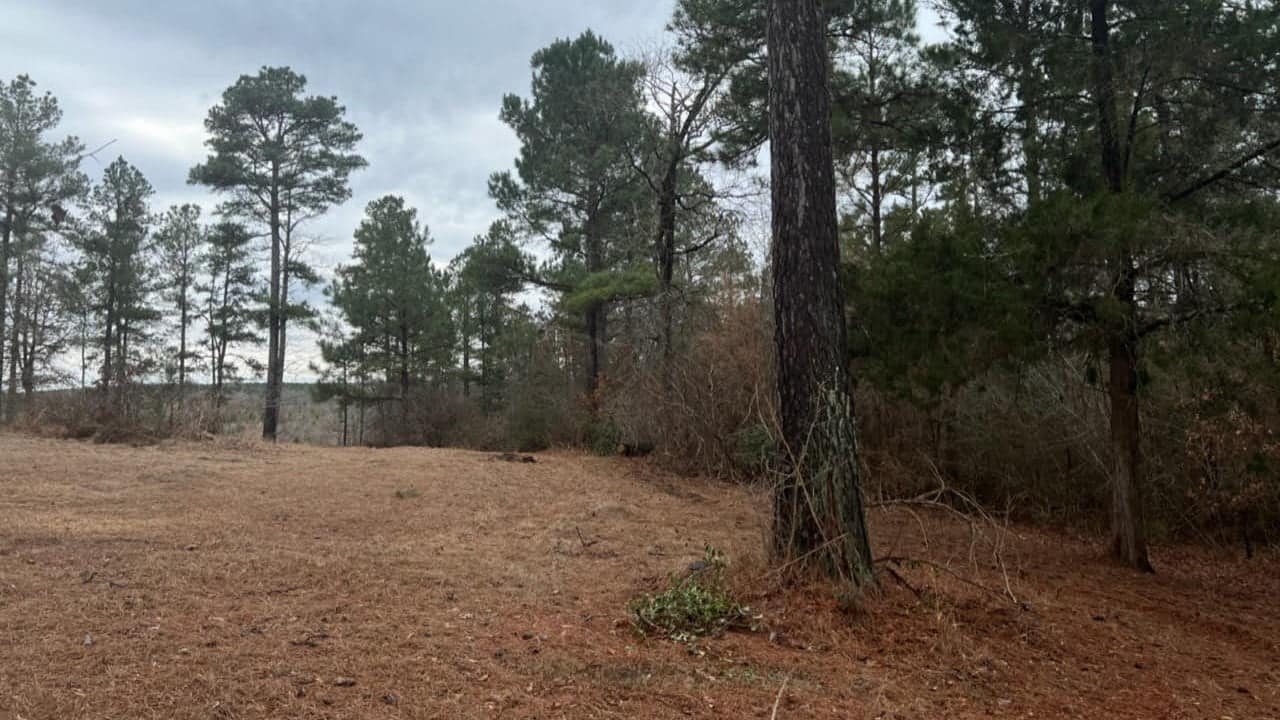 20.14 acre timberland in Cass County, Texas