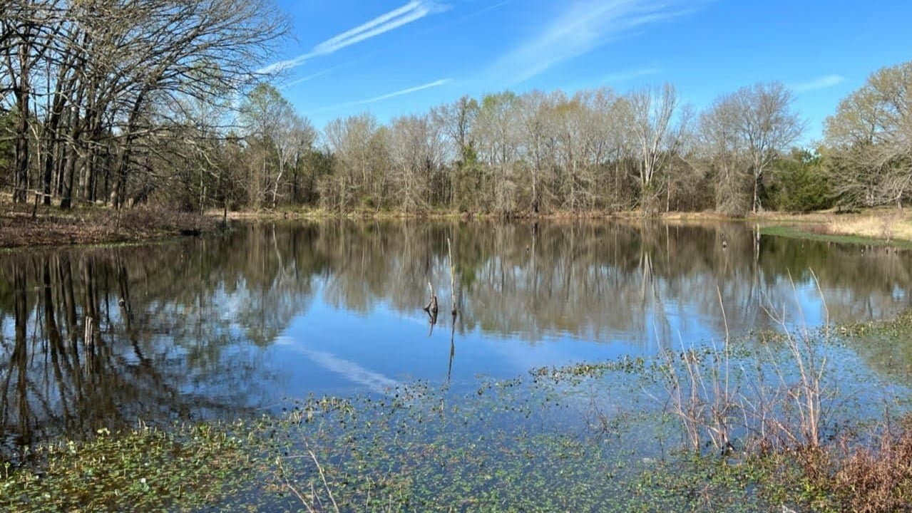 451.98 acre hunting land in Bowie County, Texas