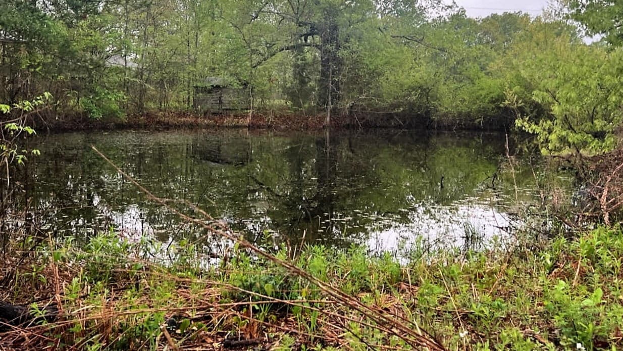 Overview of 10.3 acre ranch in Red River County, Texas