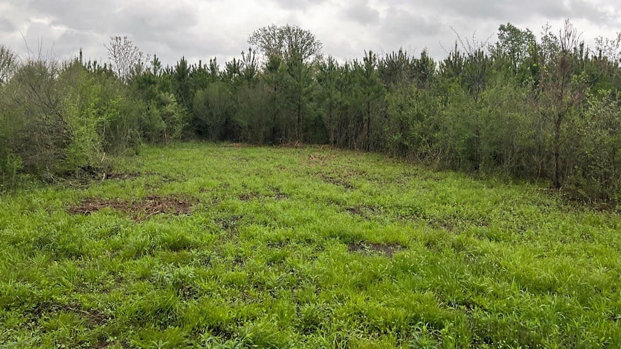 12.62 acre ranch in Red River County, Texas
