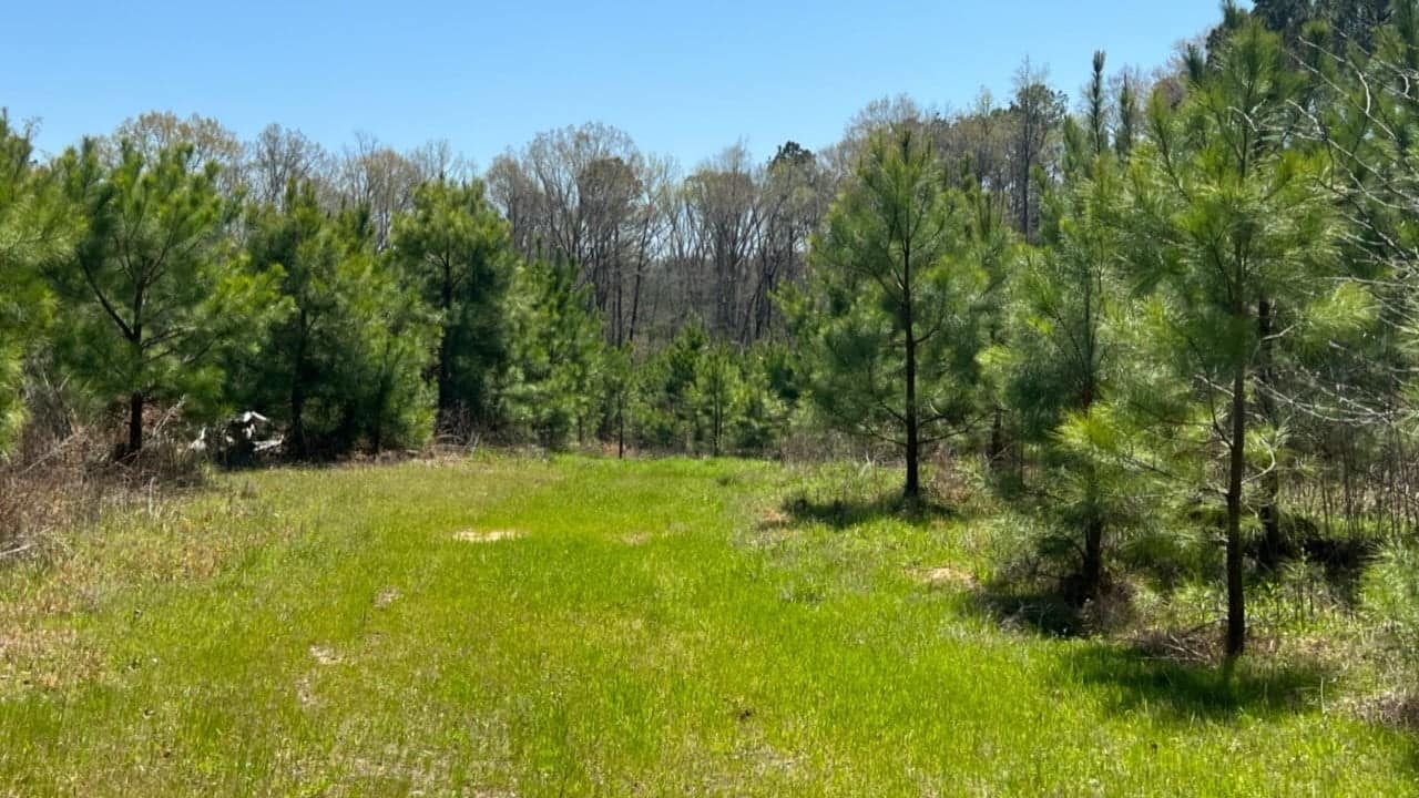 11.4 acre ranch in Cass County, Texas