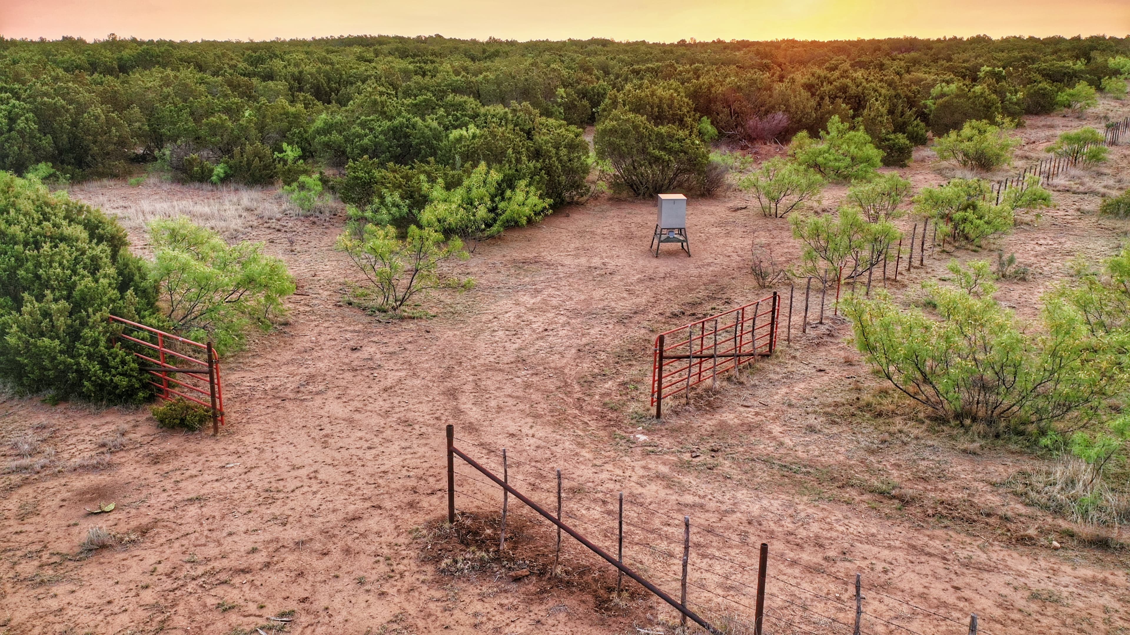 Overview of 1,142 acre hunting land in Foard County, Texas