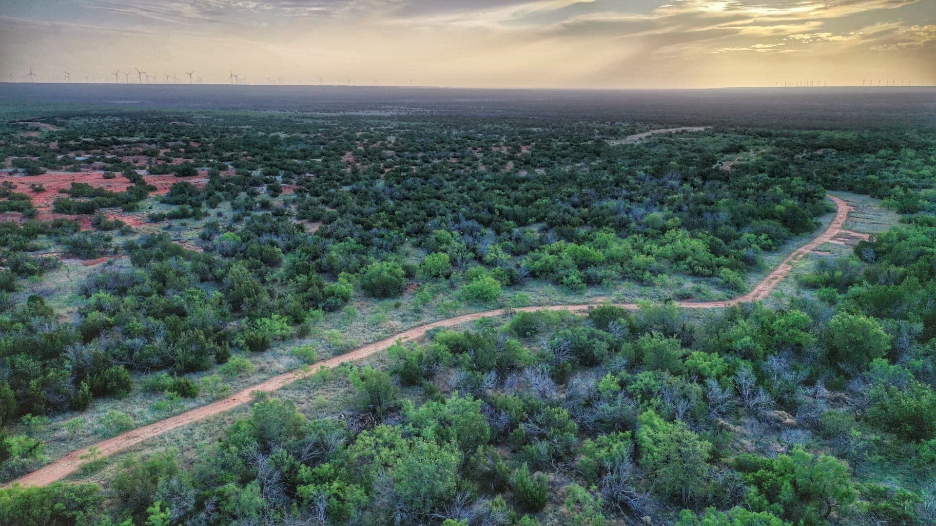 Overview of 1,135 acre hunting land in Knox County, Texas