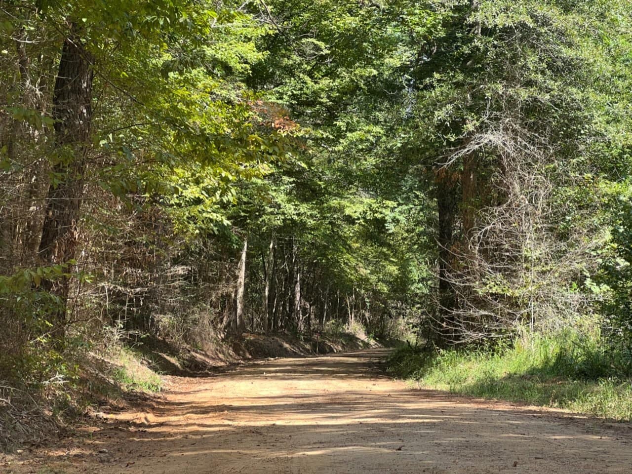 24.85 acre hunting land in Cass County, Texas