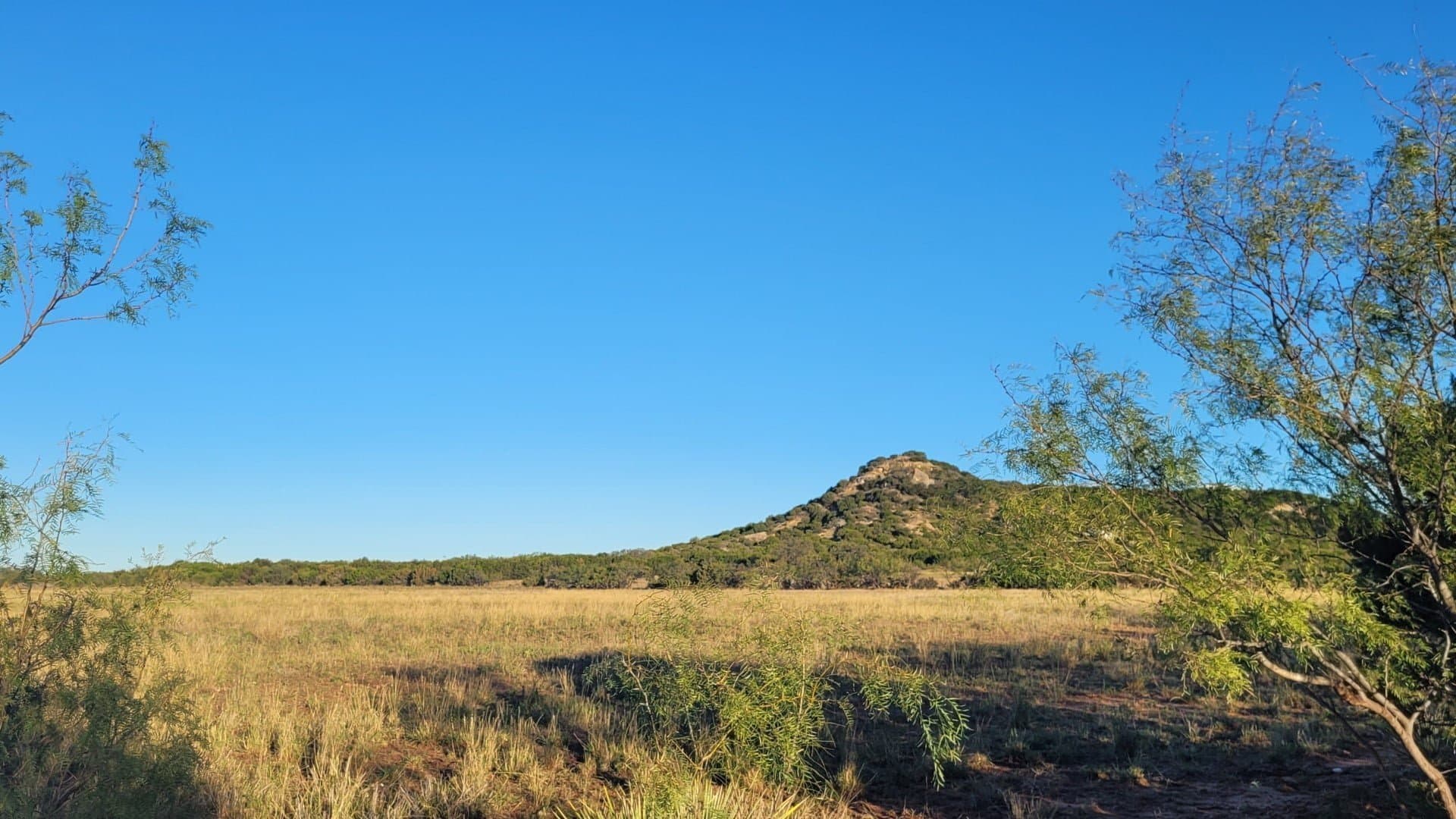 Overview of 50 acre hunting land in Taylor County, Texas