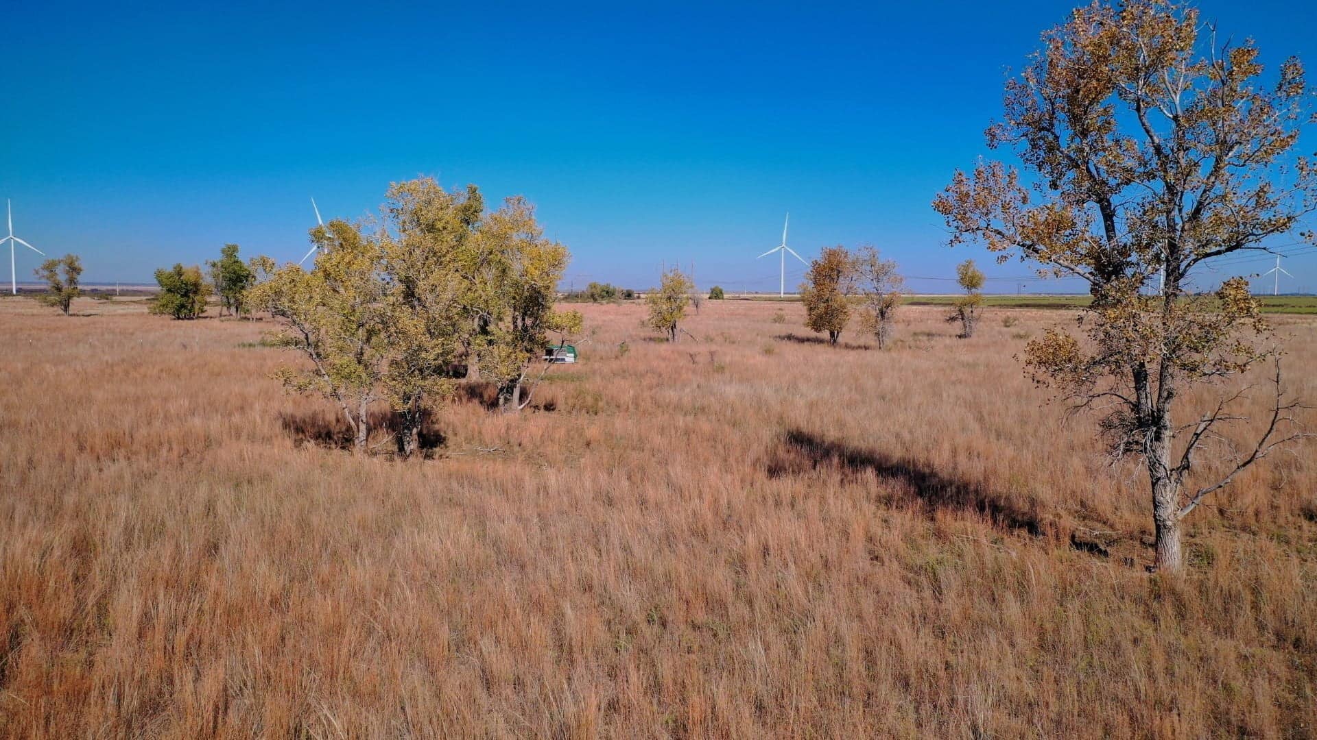 97.87 acre ranch in Wilbarger County, Texas