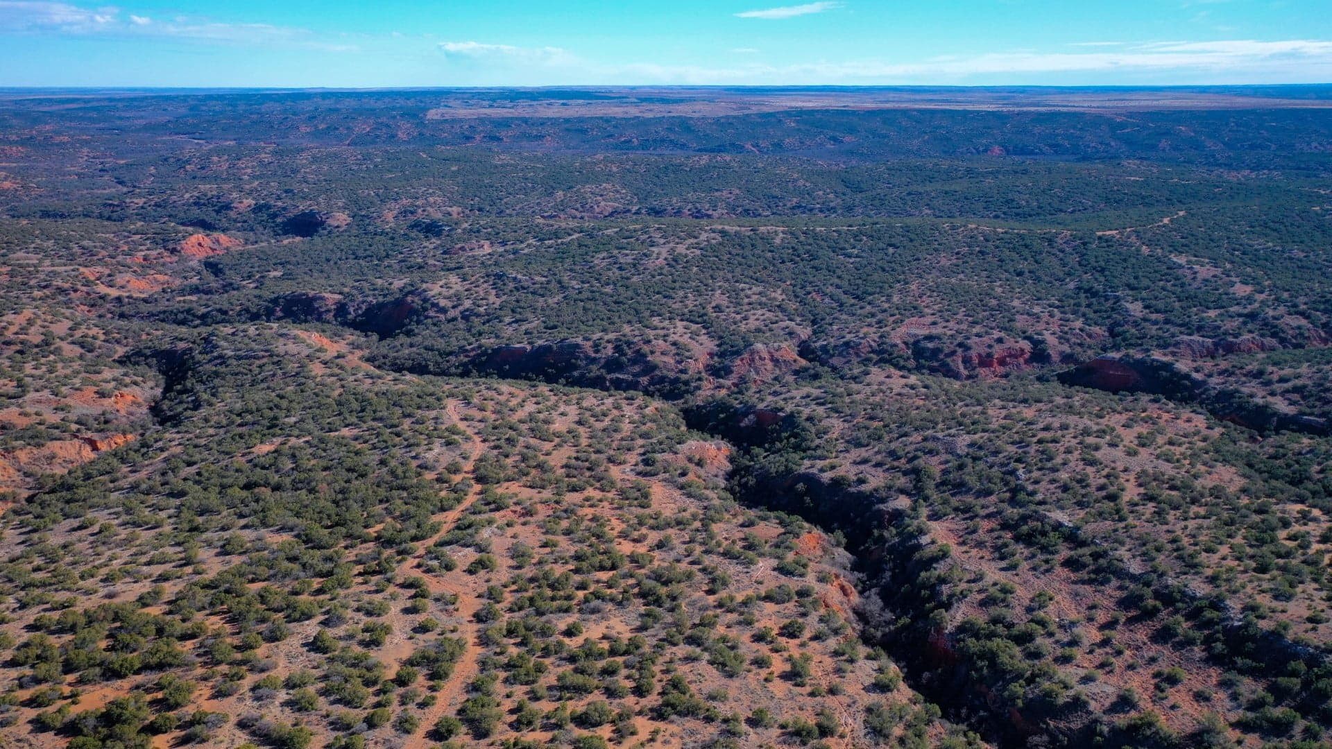 Overview of 2,290 acre hunting land in Hall County, Texas