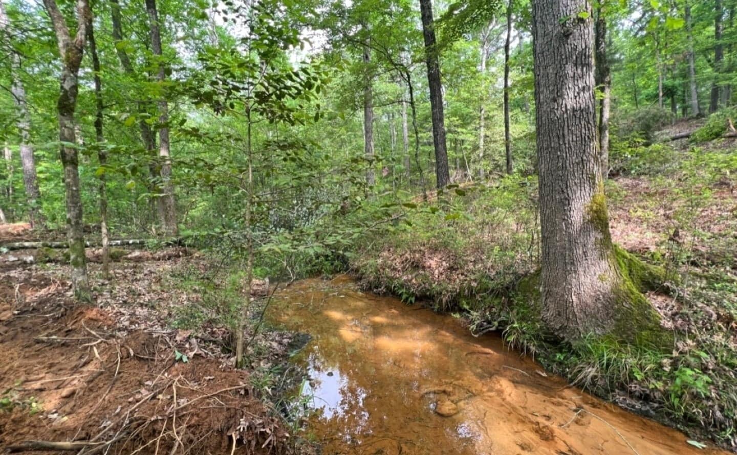 33.23 acre timberland in Cass County, Texas