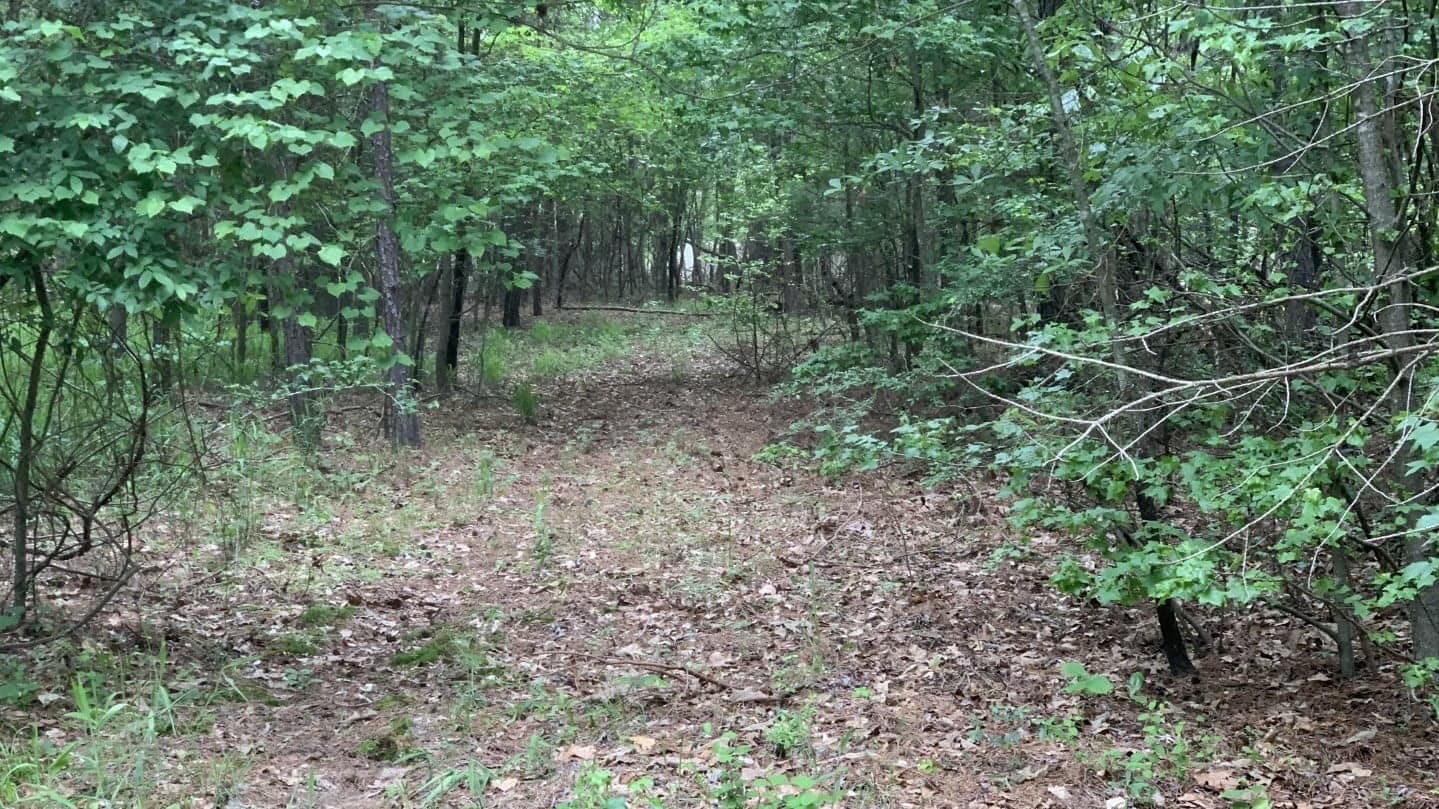 51.15 acre hunting land in Red River County, Texas