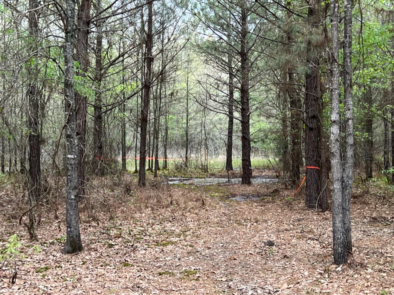 18.31 acre timberland in Bowie County, Texas
