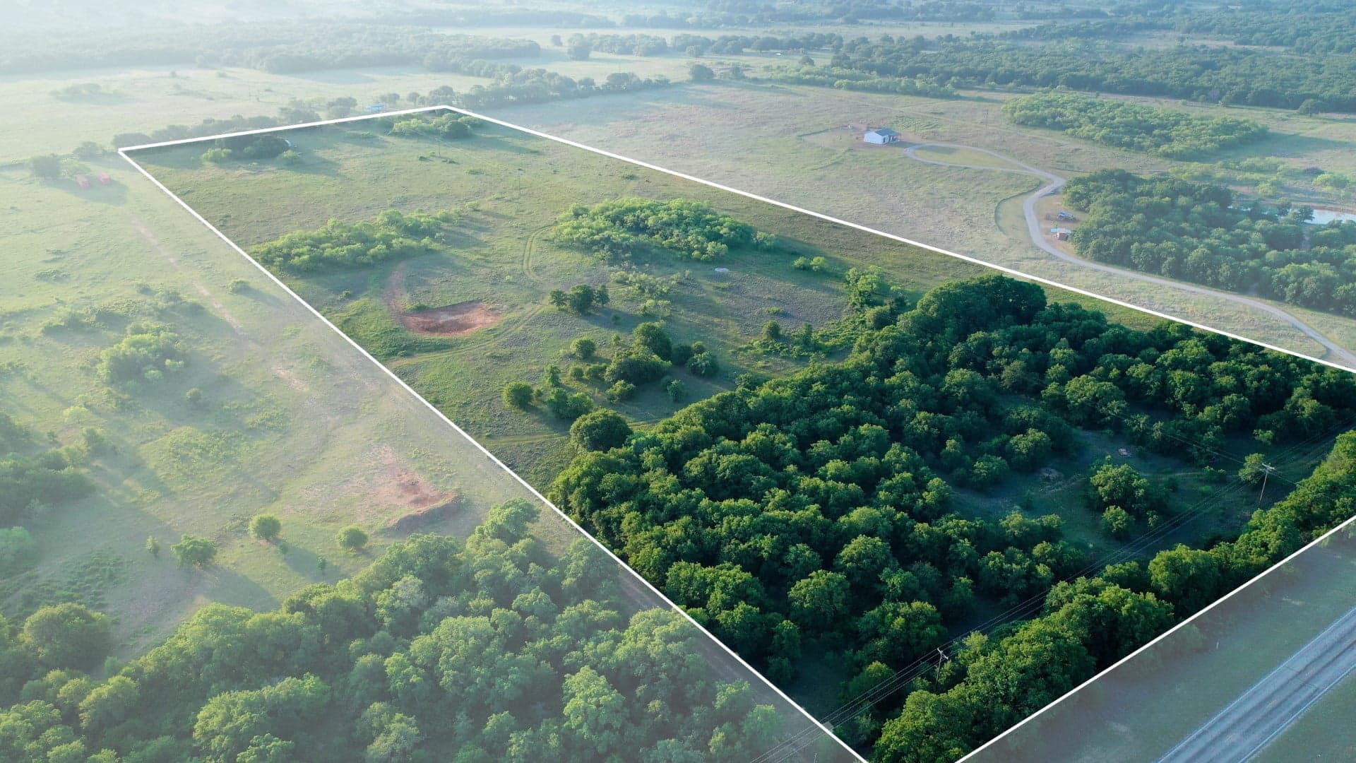 Overview of 26.5 acre timberland in Clay County, Texas