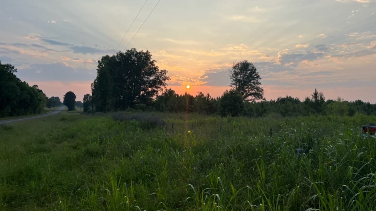 Overview of 60.41 acre ranch in Red River County, Texas