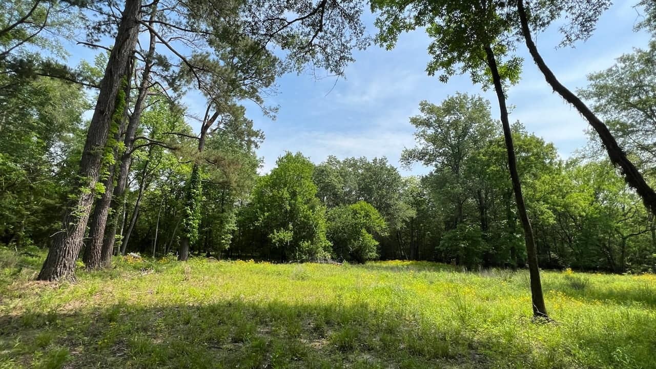 48.34 acre hunting land in Red River County, Texas