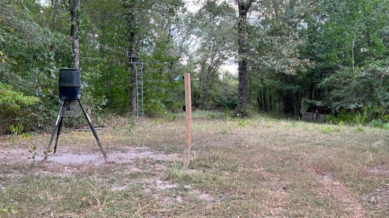 Overview of 38.29 acre hunting land in Red River County, Texas