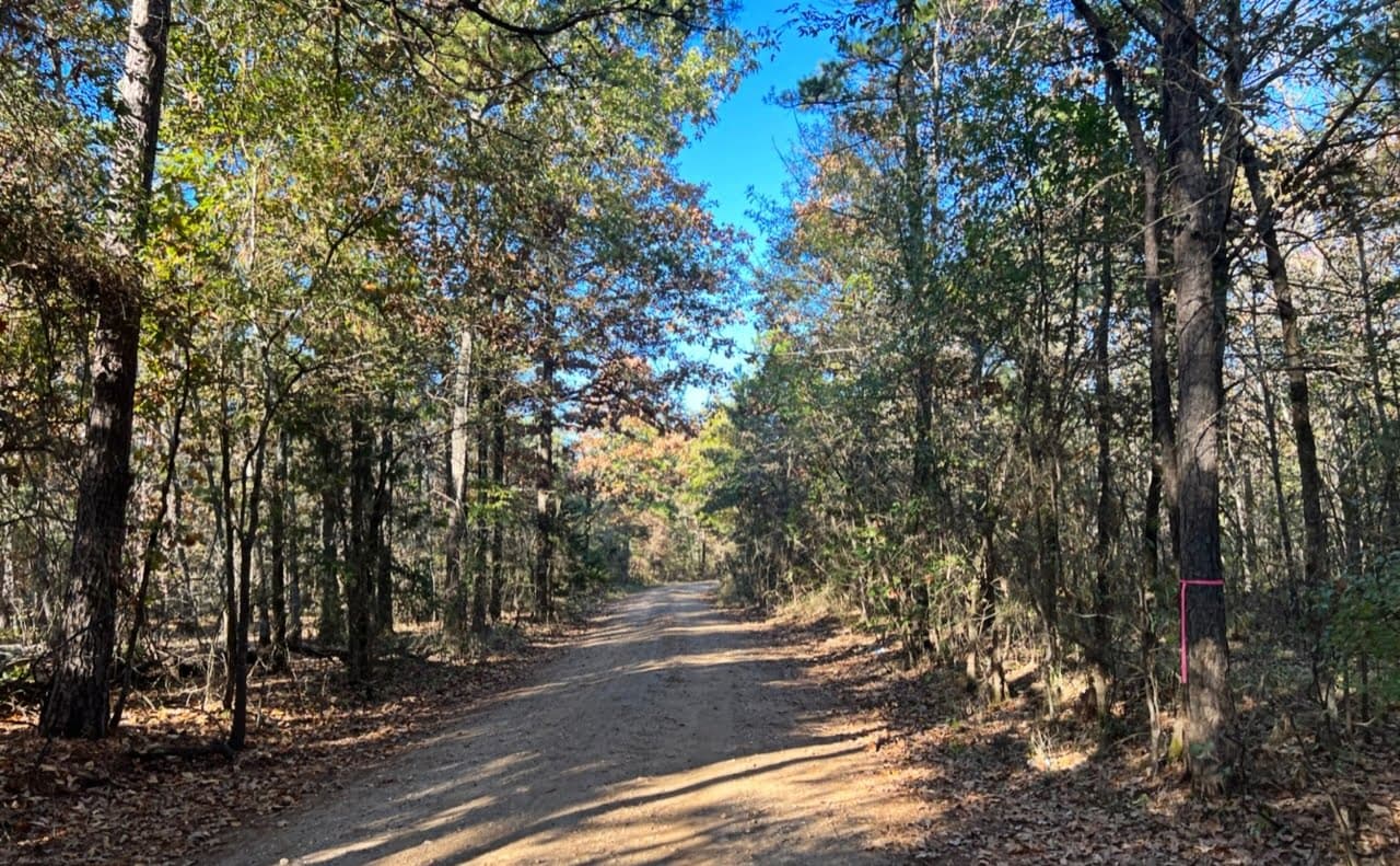 Overview of 9.04 acre hunting land in Red River County, Texas