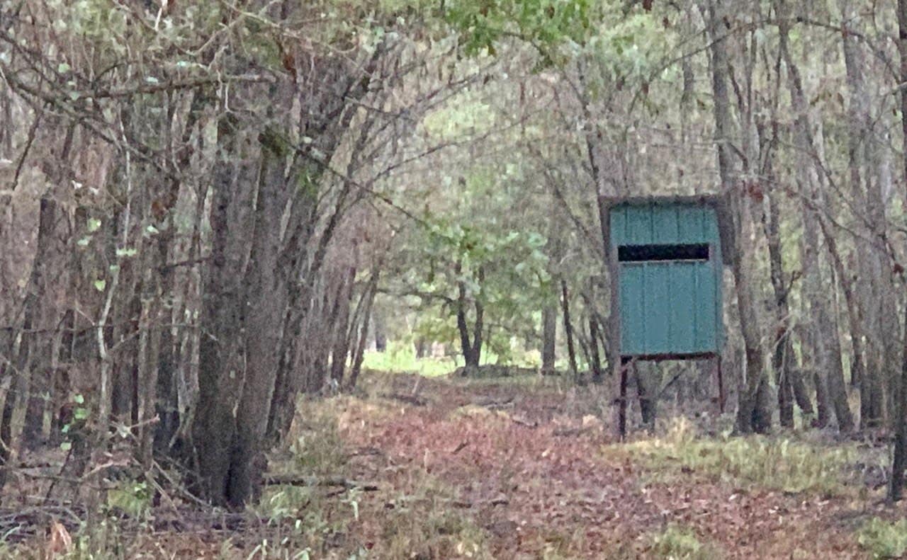 65 acre hunting land in Red River County, Texas
