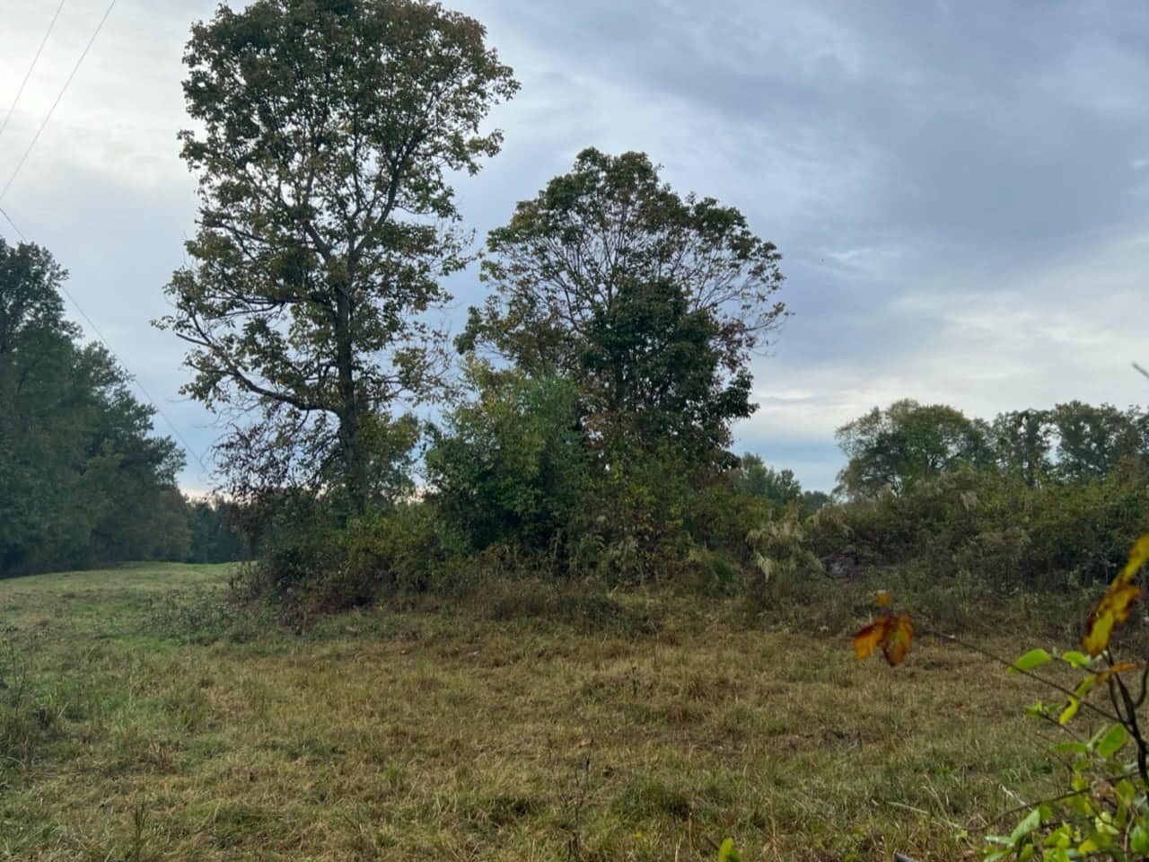15.67 acre timberland in Red River County, Texas