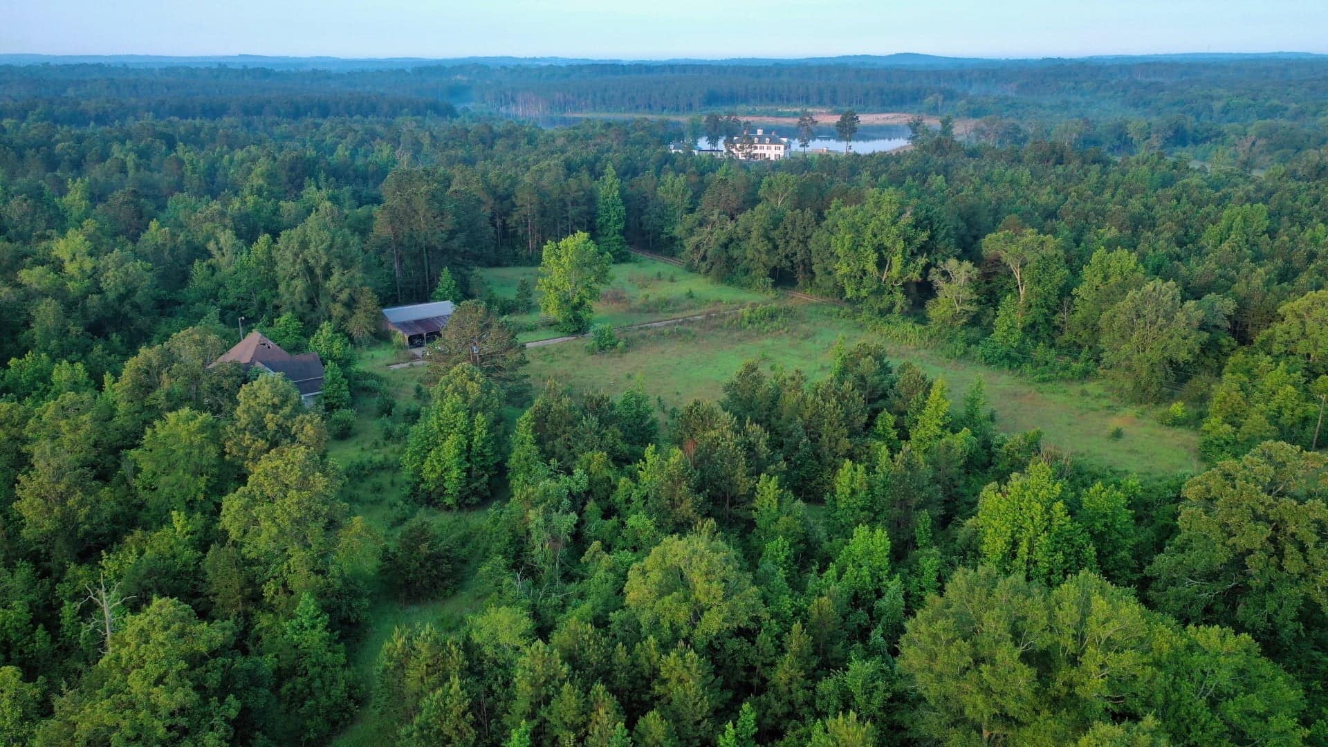 Shelby County Texas land with pine timber