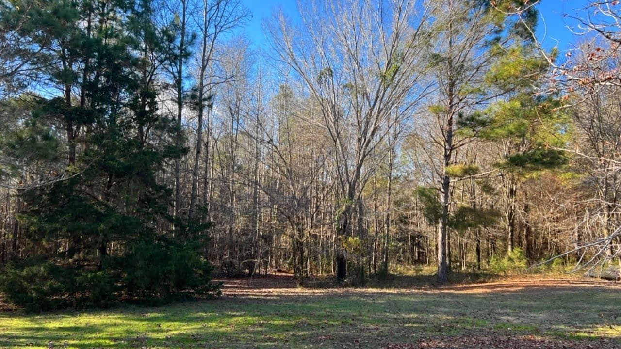 Overview of 22.28 acre hunting land in Cass County, Texas