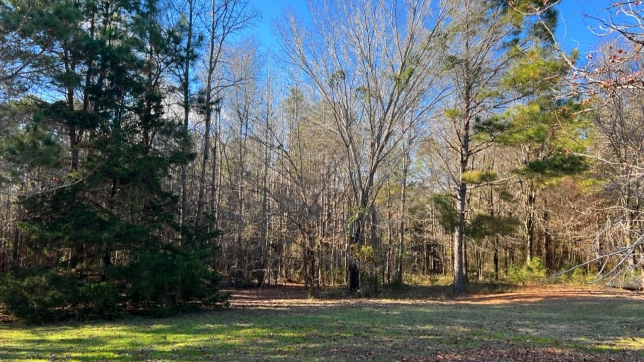 22.28 acre hunting land in Cass County, Texas