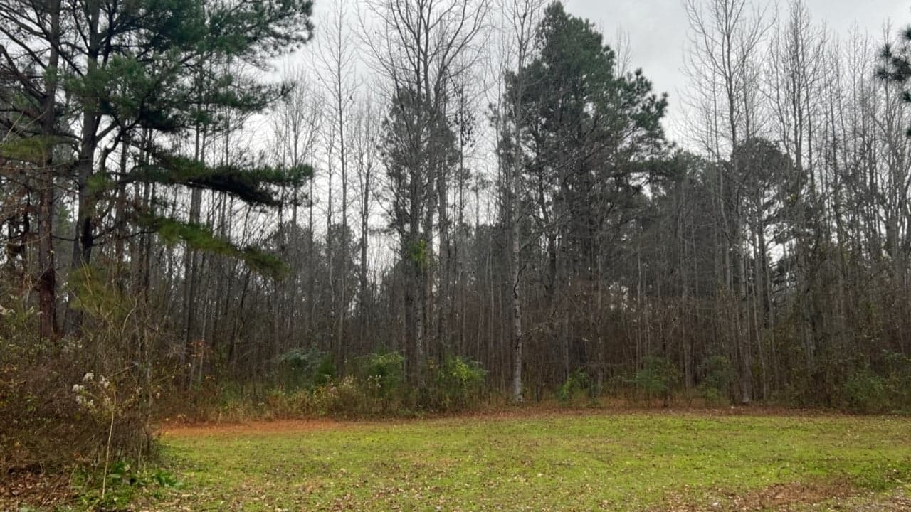 Overview of 5.93 acre hunting land in Cass County, Texas