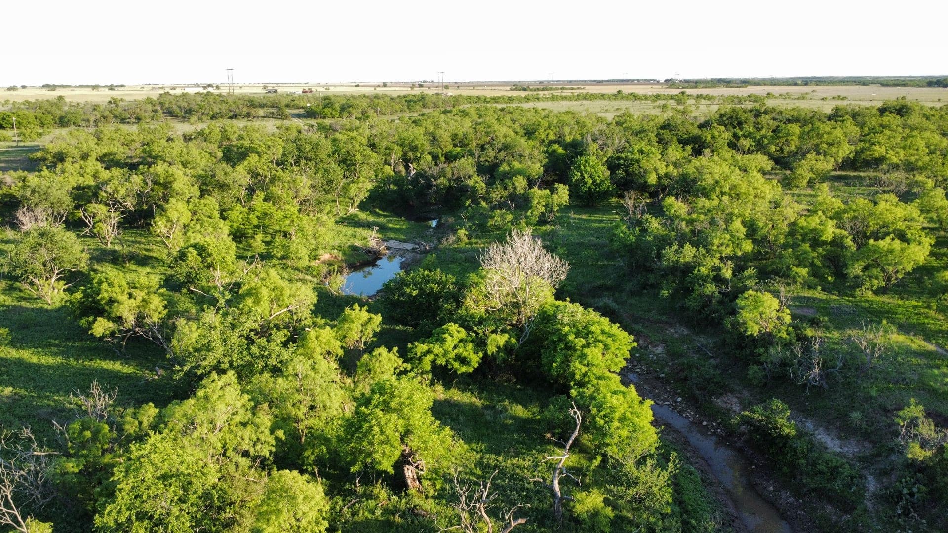 200 acre ranch in Runnels County, Texas
