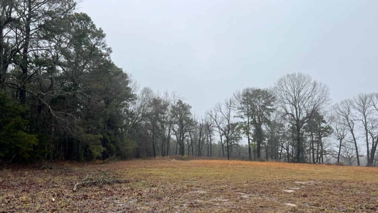 31.34 acre timberland in Red River County, Texas