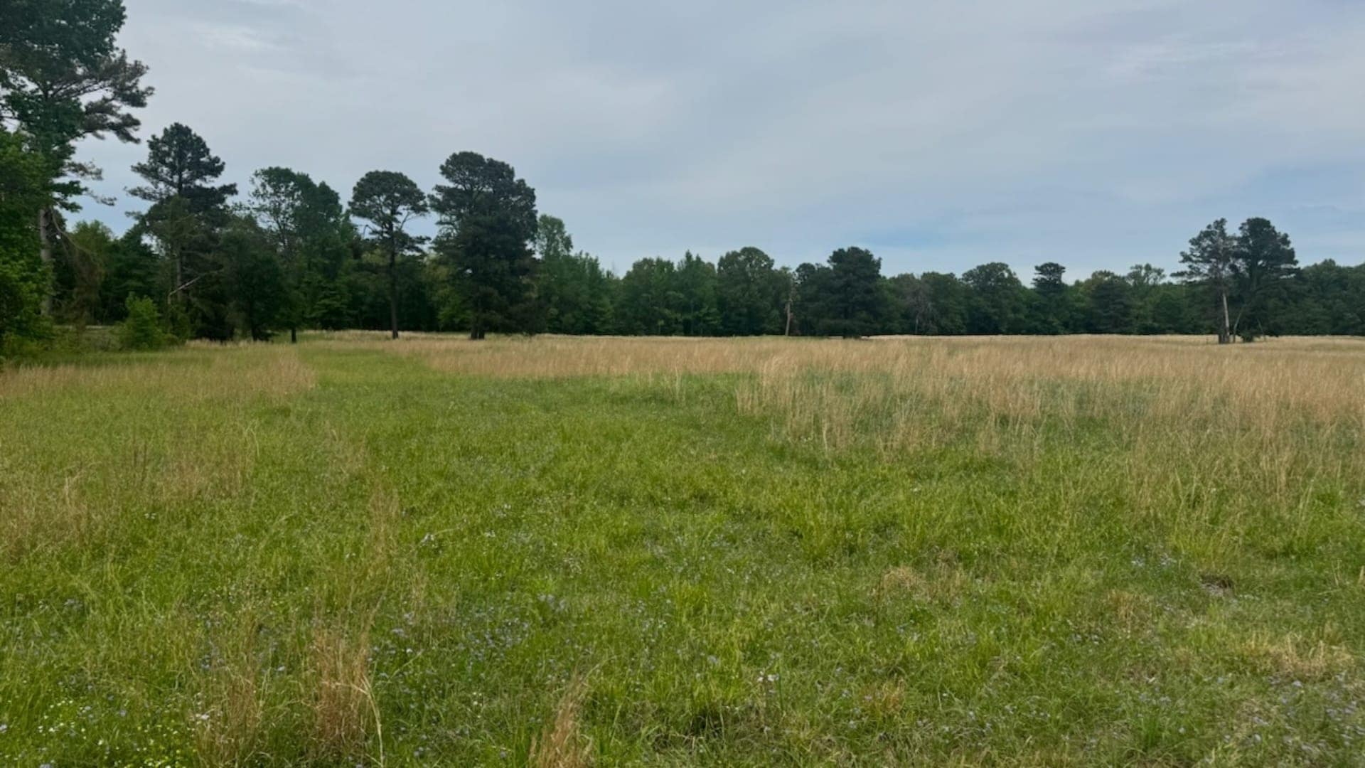 104 acre ranch in Red River County, Texas