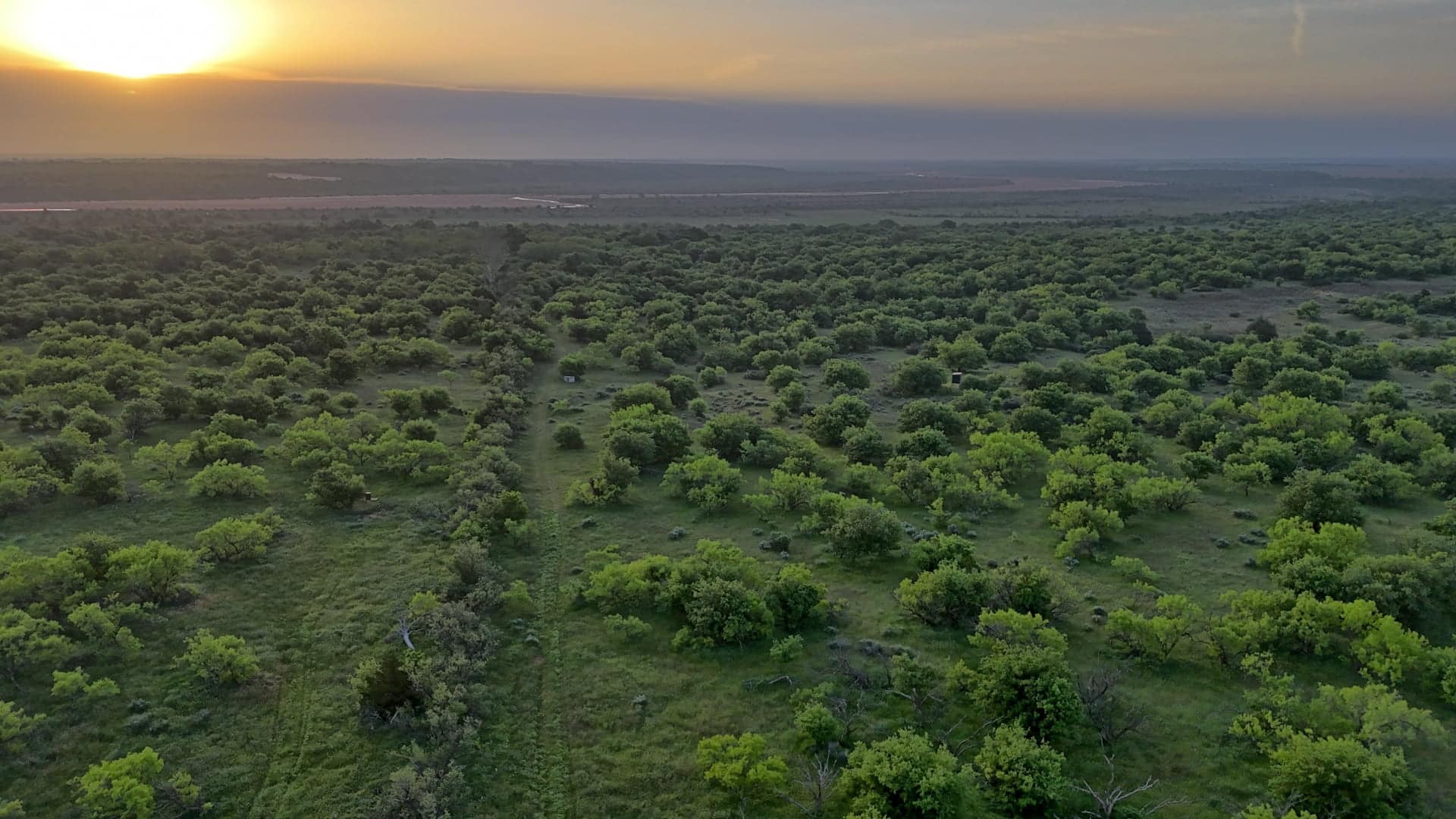 823 acre hunting land in Hardeman County, Texas