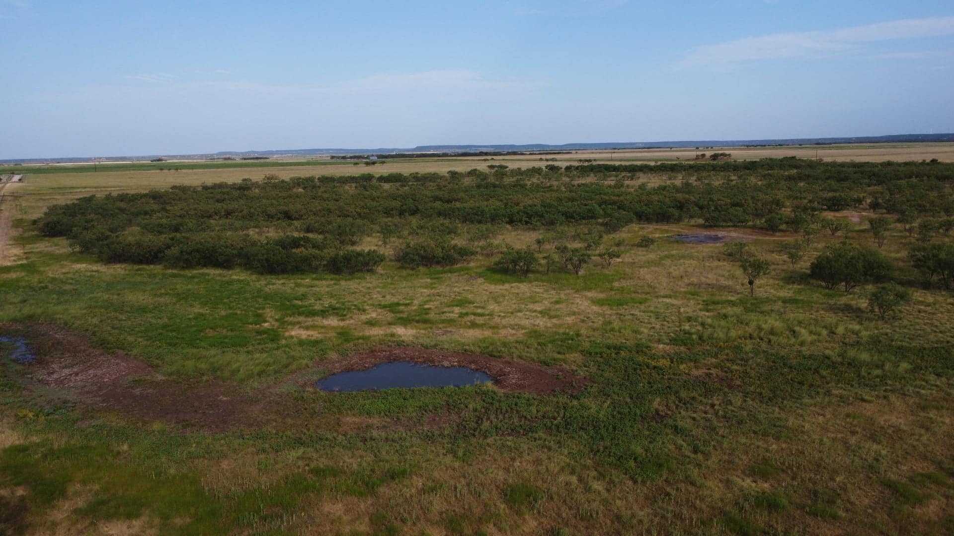 39 acre hunting land in Taylor County, Texas