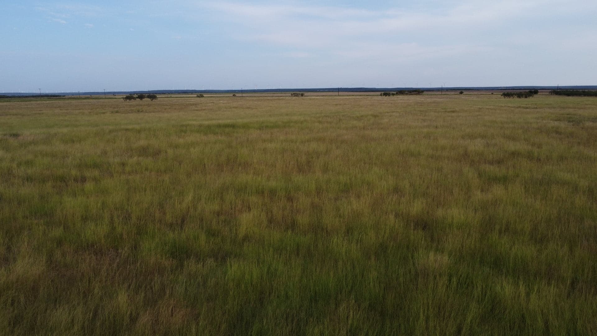 Overview of 50 acre ranch in Taylor County, Texas