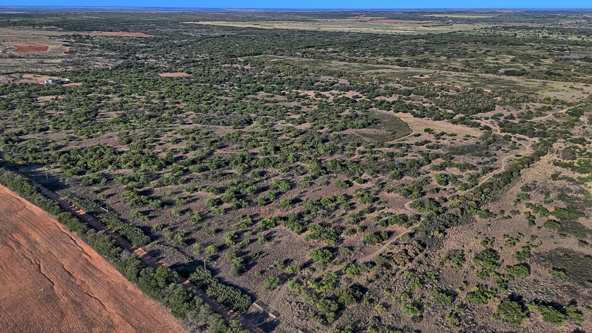 160 acre hunting land in Hardeman County, Texas