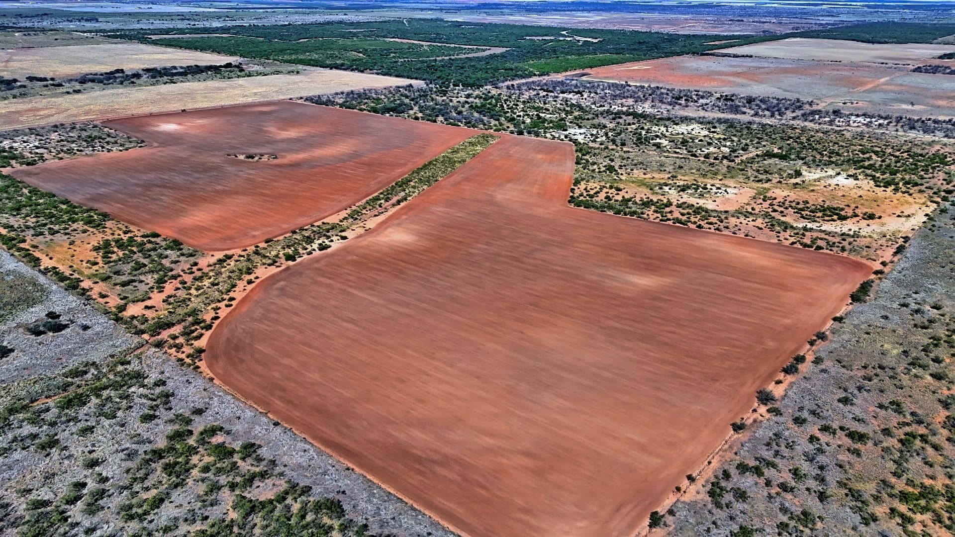 Overview of 174 acre hunting land in Hardeman County, Texas