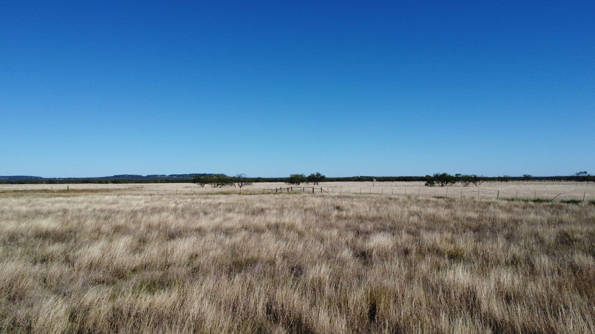 50 acre hunting land in Taylor County, Texas