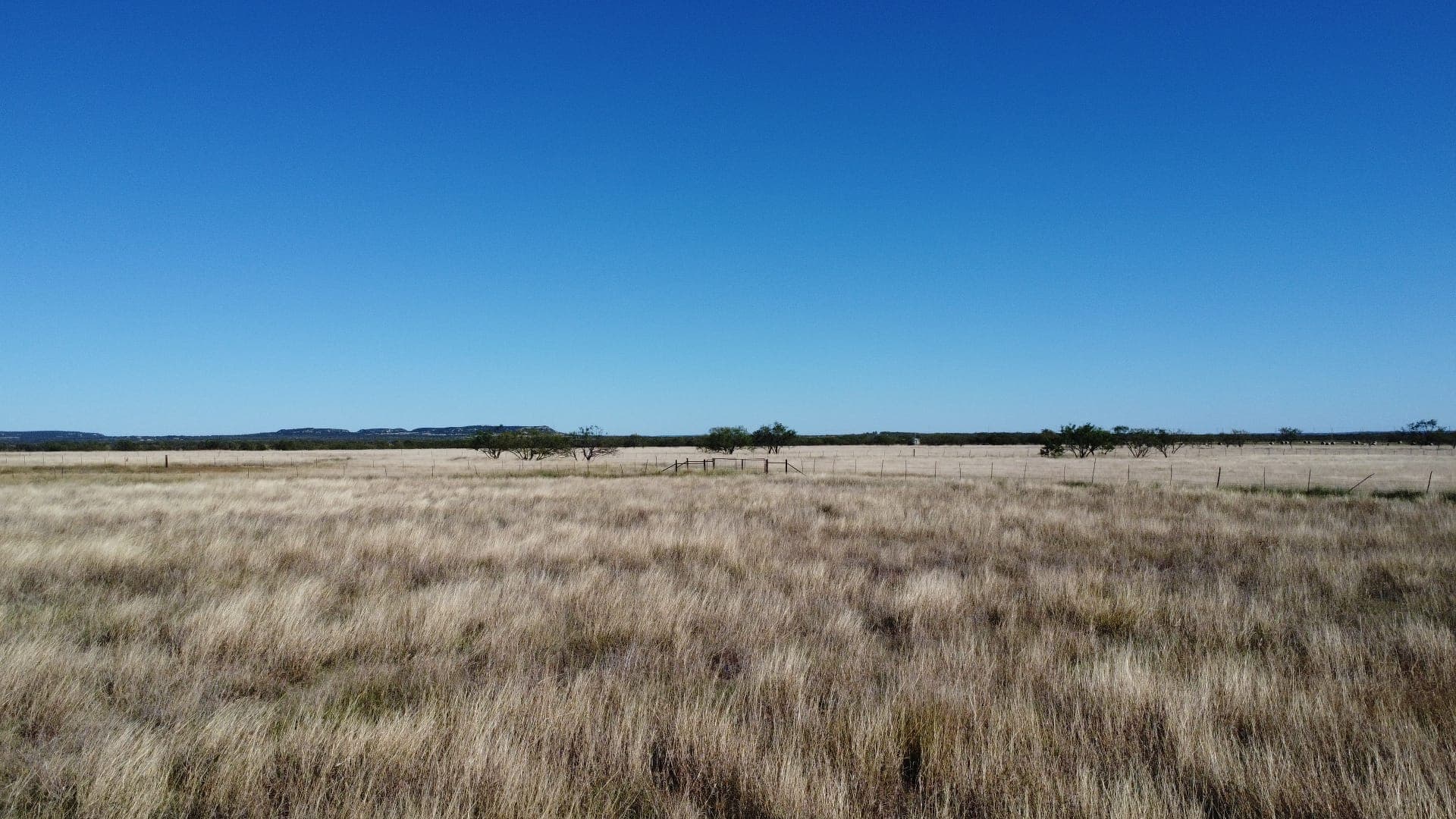Overview of 50 acre hunting land in Taylor County, Texas