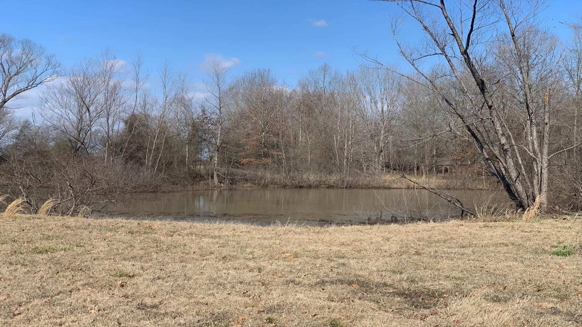 65 acre farm in Red River County, Texas