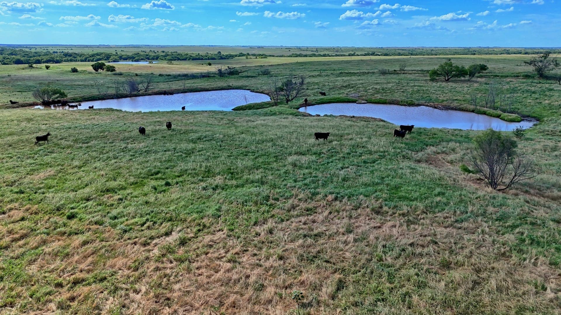 477 acre farm in Clay County, Texas