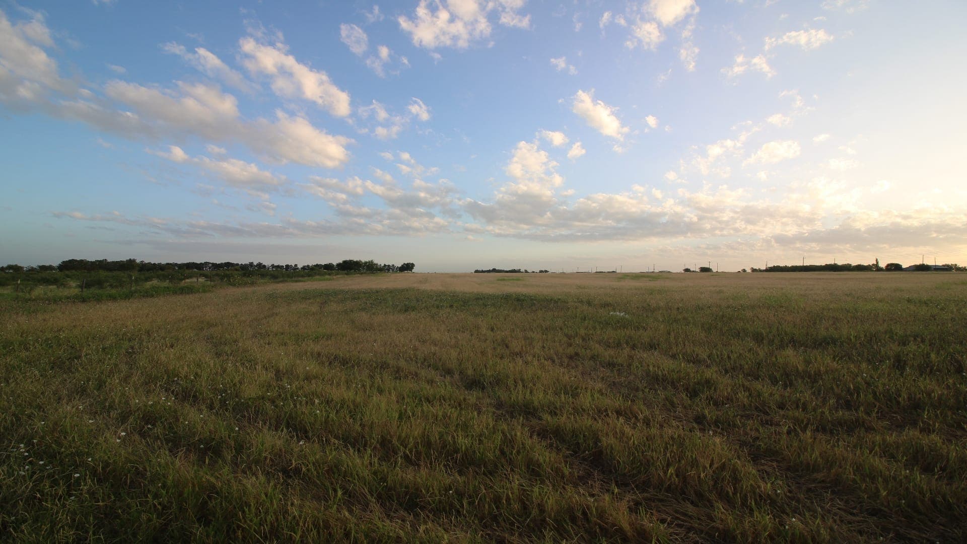Overview of 20 acre ranch in Taylor County, Texas