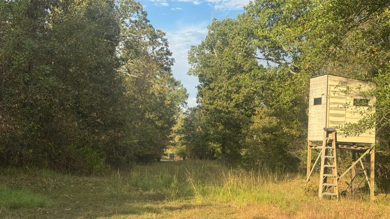 36.51 acre timberland in Red River County, Texas