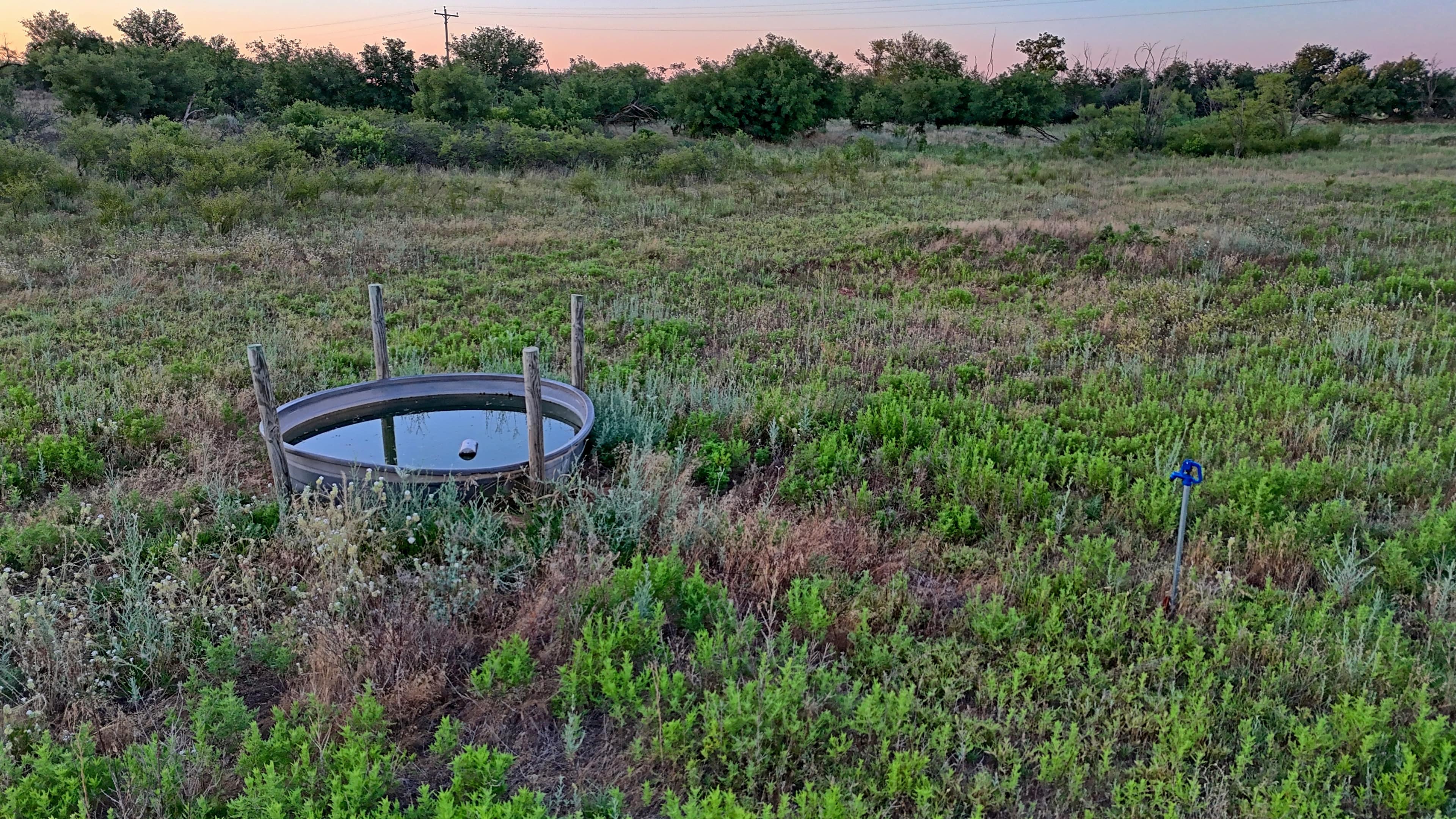 Hardeman County Texas land with sandy soils