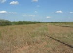 128 acres in Taylor County