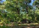 8 acres in Cass County