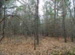 19 acres in Red River County