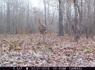 60 acres in Red River County