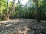 72.1 acres in Red River County