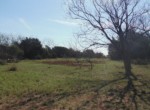 112 acres in Taylor County