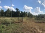 117 acres in Red River County