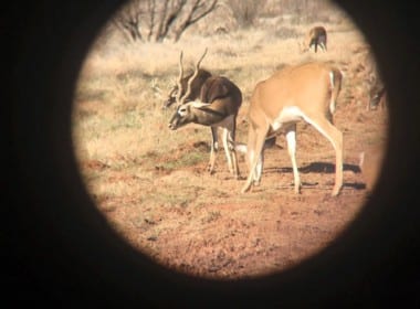 346 acres in Foard County